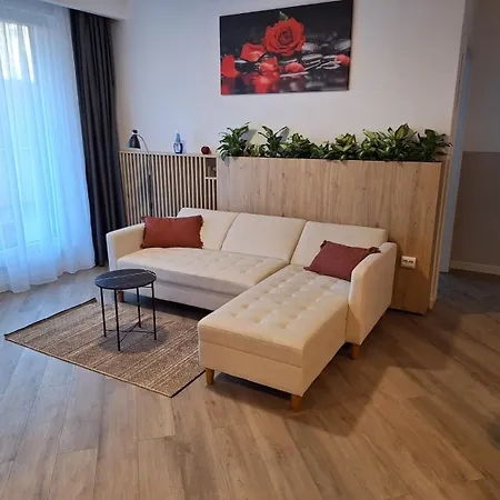 Apartment Septimiu Albini *